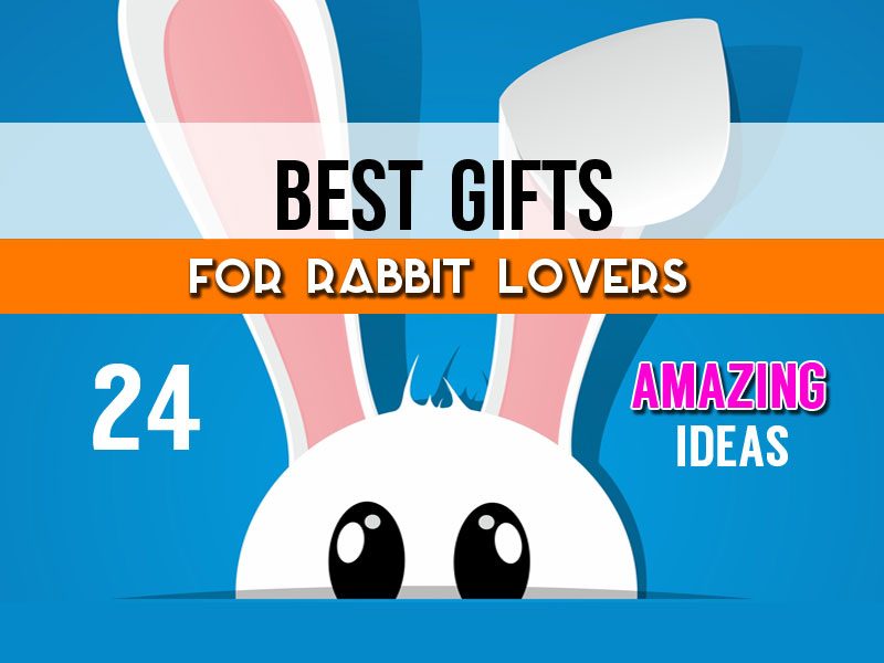 Unique Gifts For Rabbit Lovers - 24 Of The Best Gift Ideas For Bunny Lovers & Owners