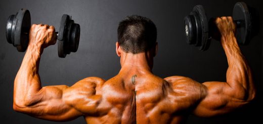 Review Of High Performance Handbook By Eric Cressey